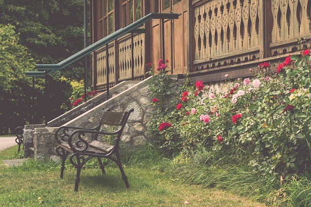 地表最强俱 地表最强俱