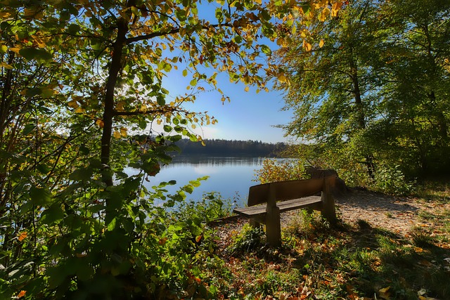 国内外都拥 国内外都拥