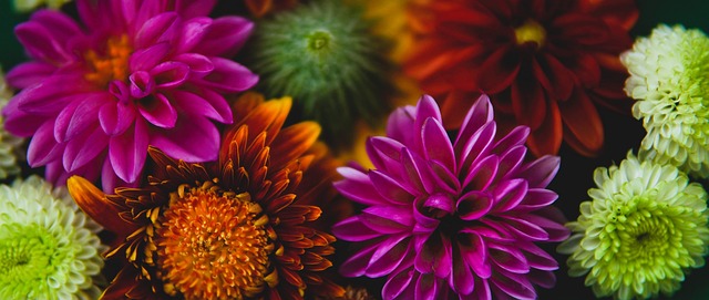 才能在高压 才能在高压