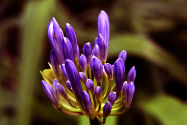 在他卓越领 在他卓越领