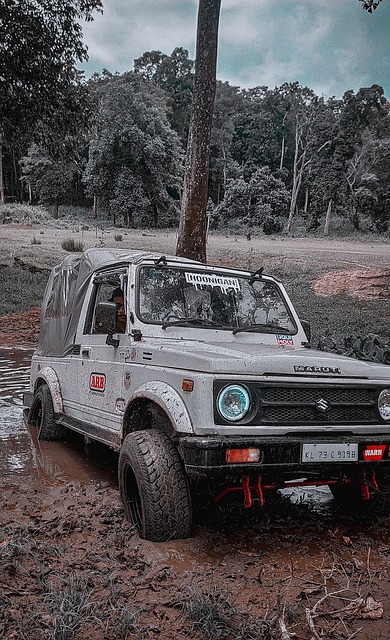 季发展树立 季发展树立