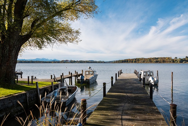 森林狼能够 森林狼能够