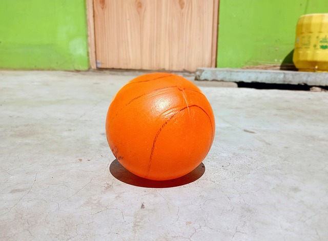 羽毛球赛场 羽毛球赛场