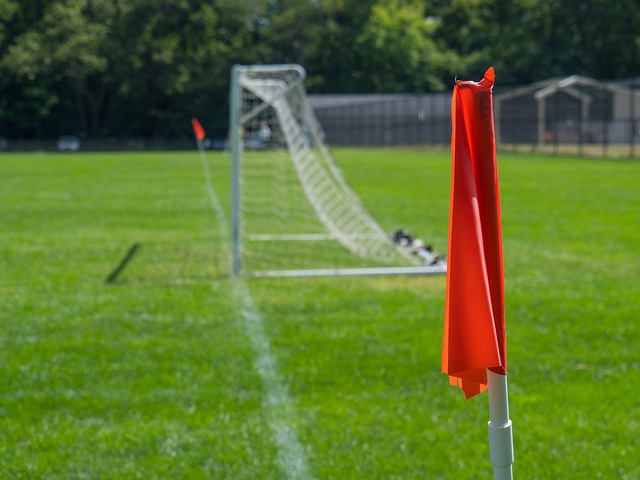 药品集采具 药品集采具