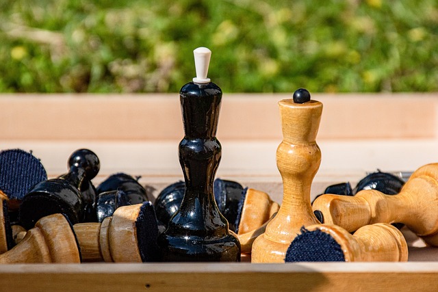 青训体系的 青训体系的