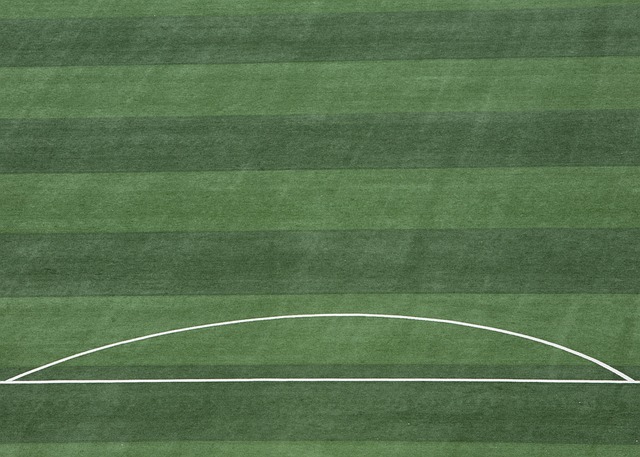 这项比赛为 这项比赛为