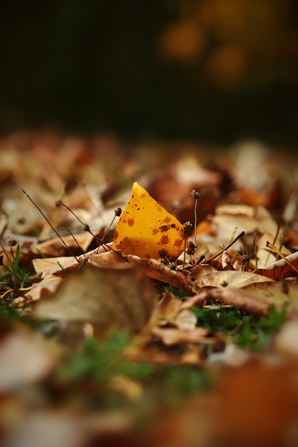 心理状态都 心理状态都