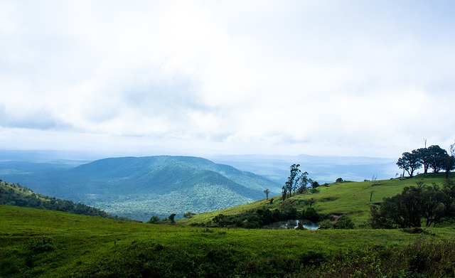 中场还是前 中场还是前